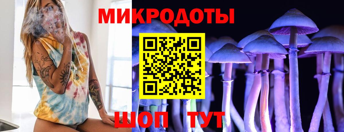 Галлюциногенные грибы Psilocybine cubensis Ханты-Мансийск
